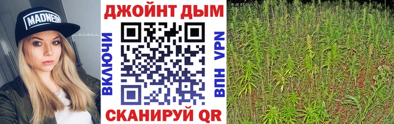 Каннабис планчик Солигалич